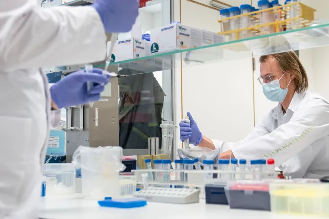 lab work